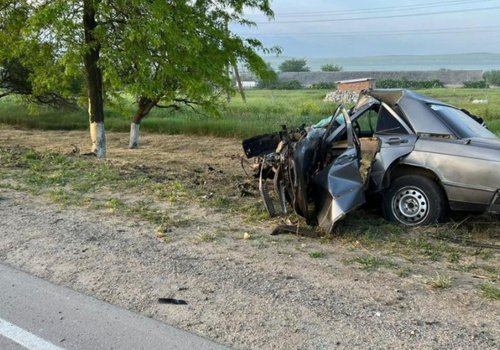 В Крыму 25-летний водитель «Мерседеса» врезался в дерево и погиб 
