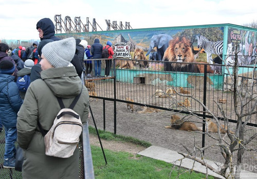 Владелец крымских зоопарков вспомнил: животных из Новой Каховки не вывозил