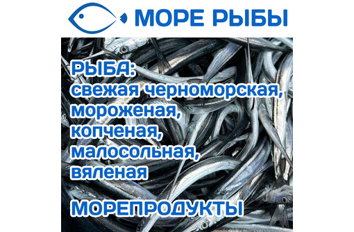 Магазин МОРЕ-РЫБЫ на ул.Силаева, 8 – вкуснейшие рыбка и морепродукты в Севастополе!
